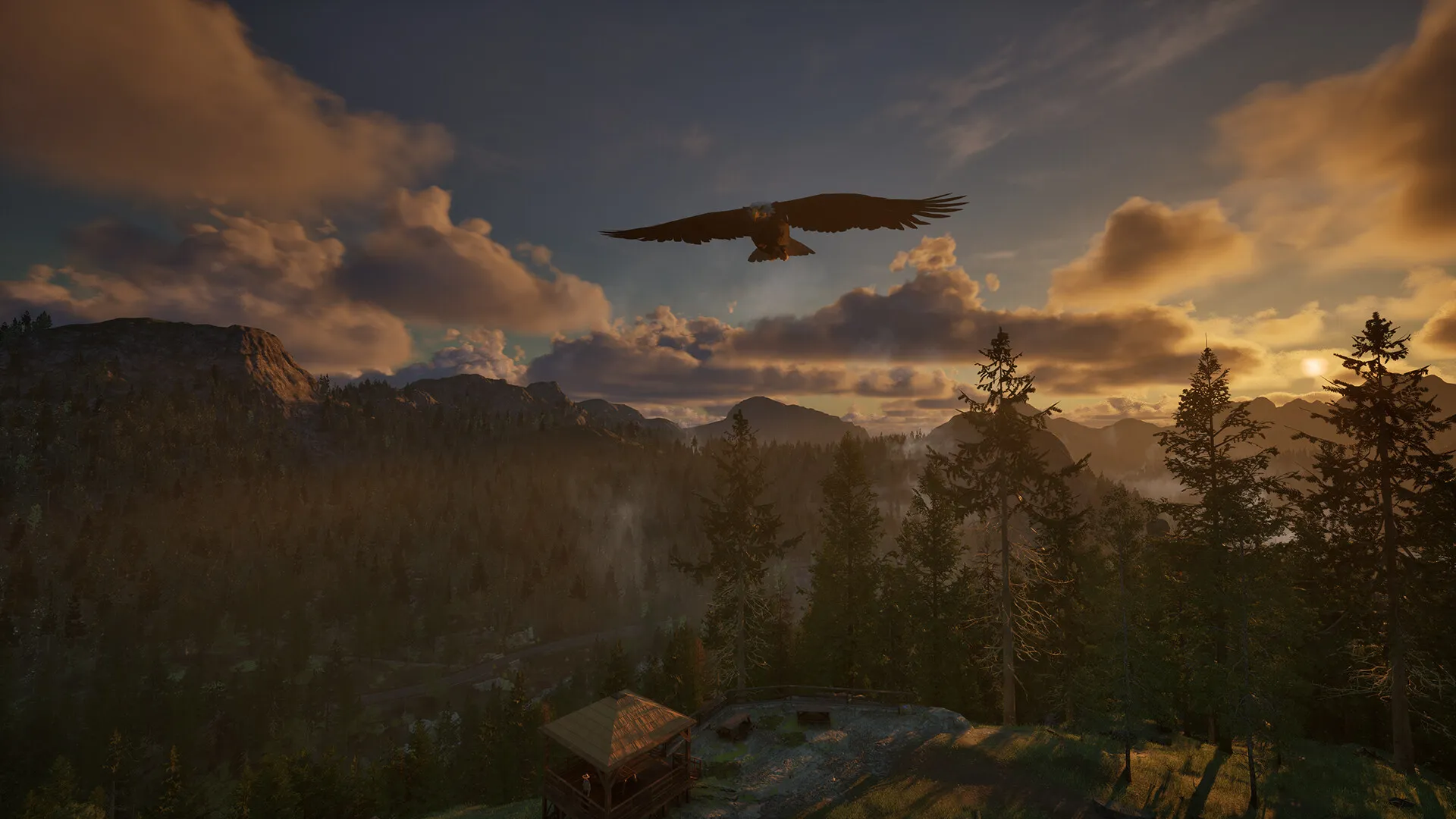护林员之路：国家公园模拟器/Ranger’s Path: National Park Simulator-JOY Hub - Games, Codes & Photography
