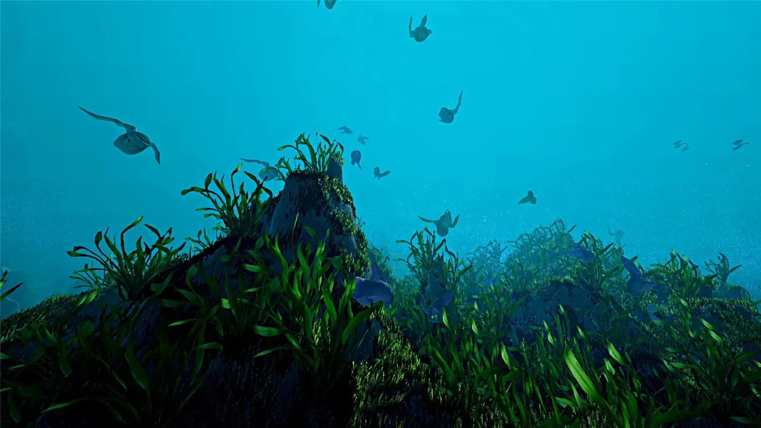 《生态系统》v1.0.0中文版-趣奇资源网-第7张图片