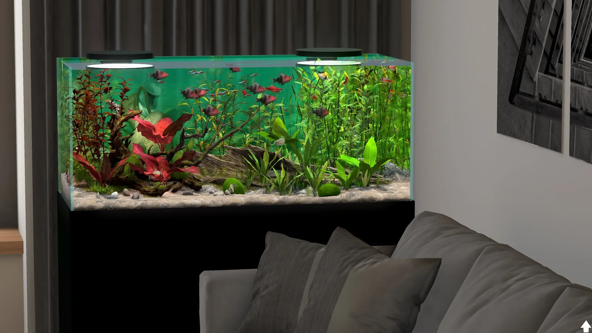 玻璃背后：水族馆模拟器/Behind Glass: Aquarium Simulator
