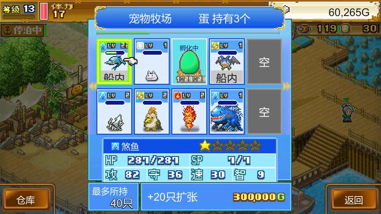 《大海贼探险物语DX》v2.44中文版-JOY Hub - Games, Codes & Photography