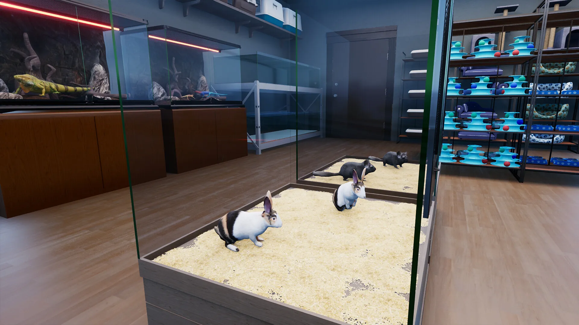 异域风情2：宠物店模拟器/Exotica 2: Pet Shop Simulator