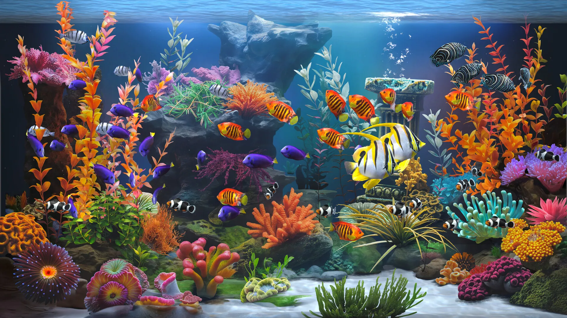 禅意水族馆/Zen Aquarium-JOY Hub - Games, Codes & Photography