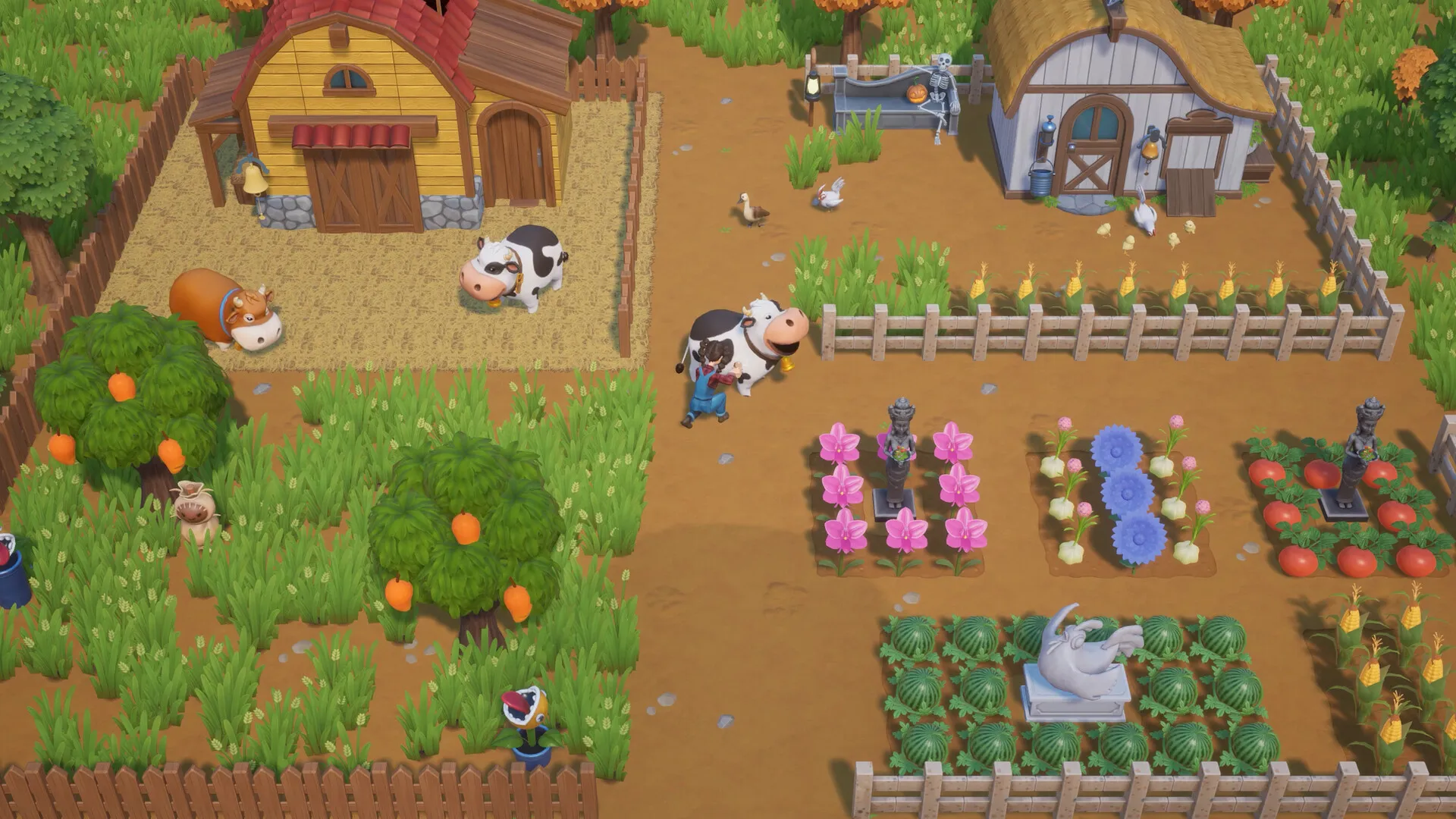 珊瑚岛/Coral Island-JOY Hub - Games, Codes & Photography