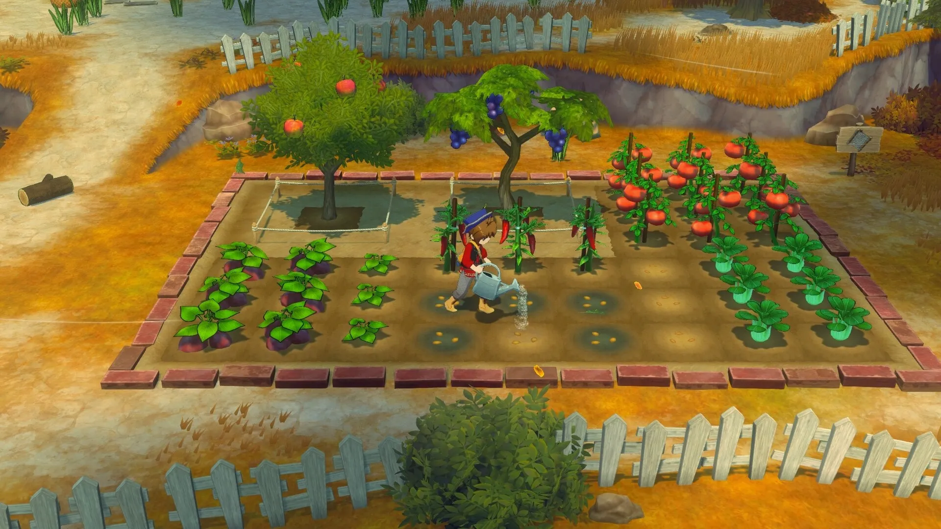 牧场物语 来吧！风之繁华集市/STORY OF SEASONS: Grand Bazaar-JOY Hub - Games, Codes & Photography