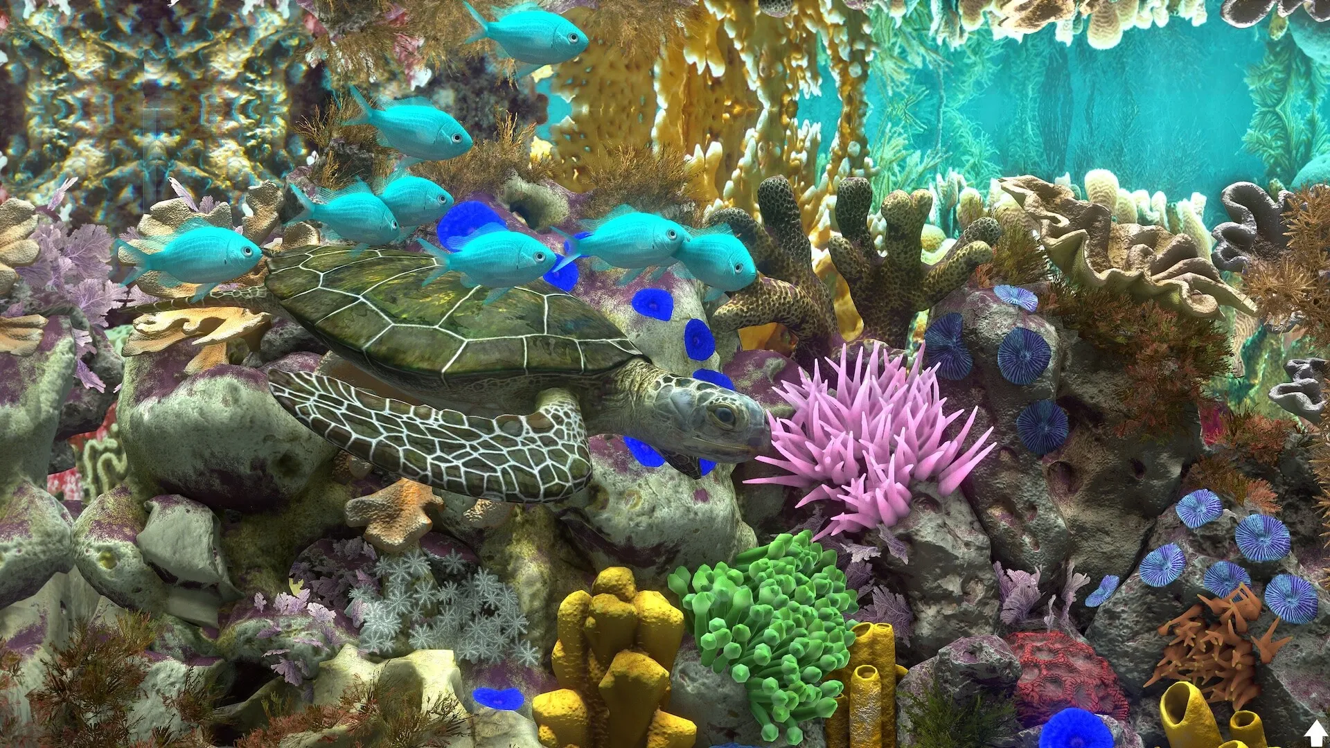 玻璃背后：水族馆模拟器/Behind Glass: Aquarium Simulator
