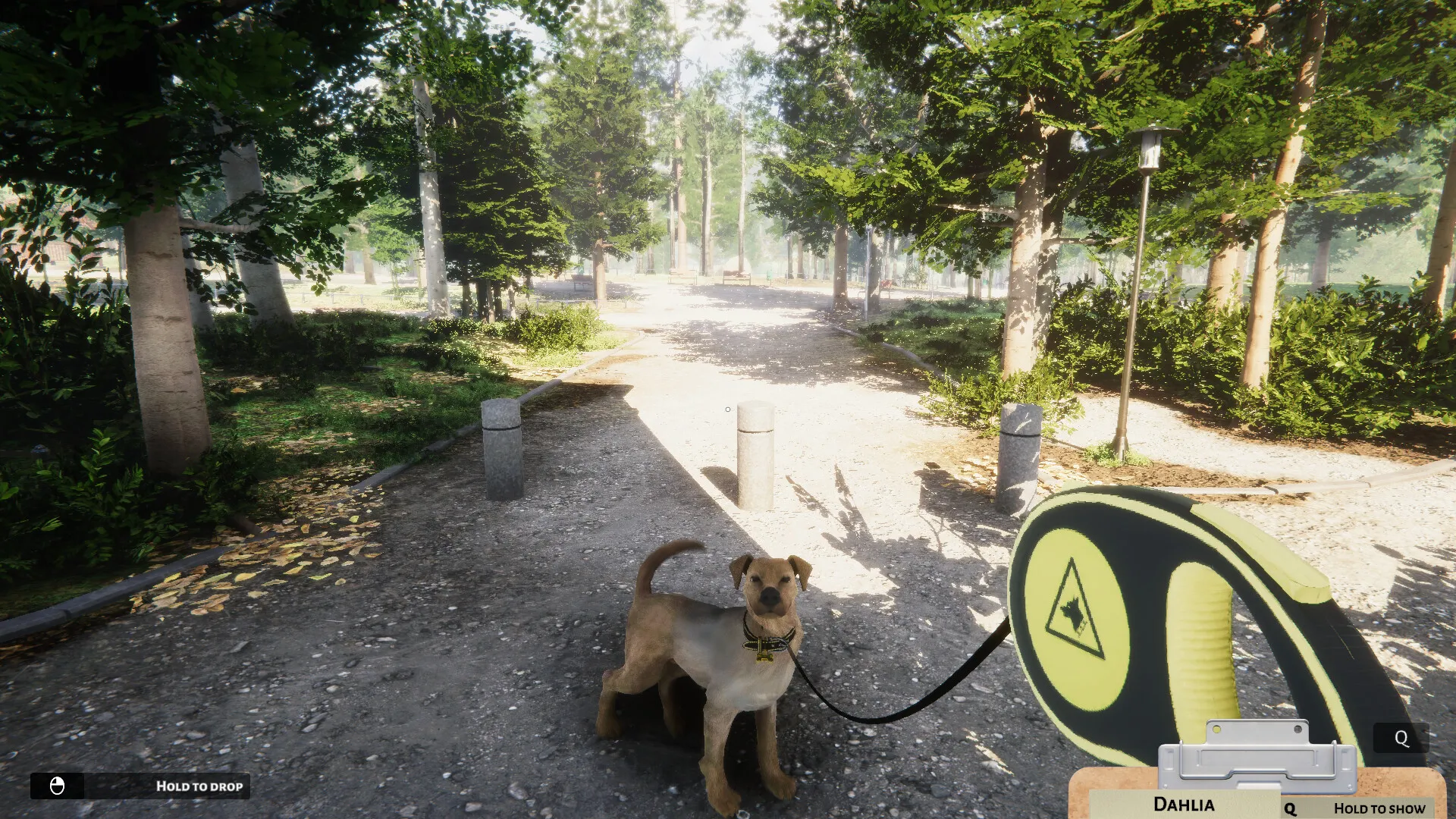 动物收容所/Animal Shelter-JOY Hub - Games, Codes & Photography