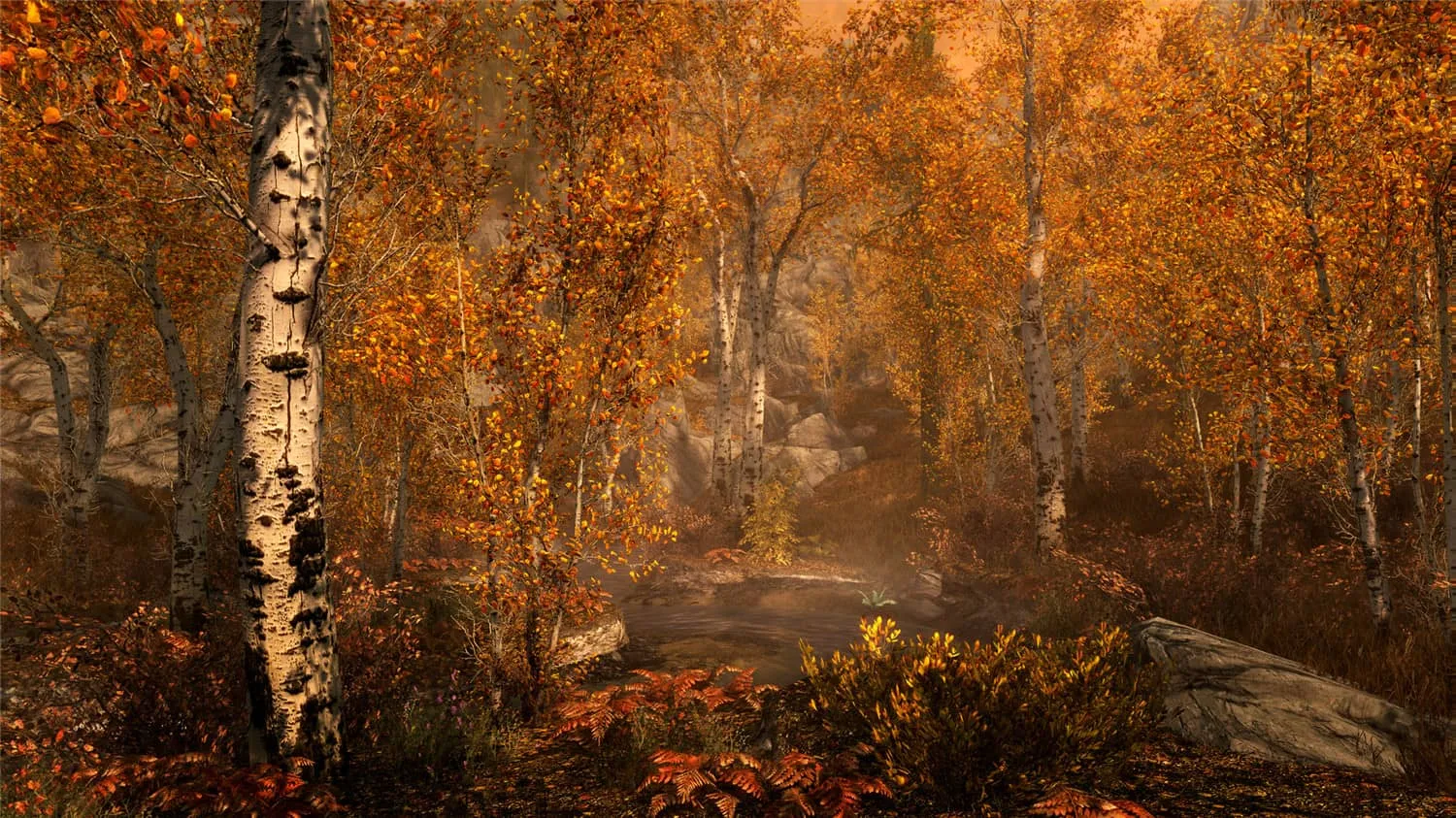 《上古卷轴5》周年纪念版-JOY Hub - Games, Codes & Photography