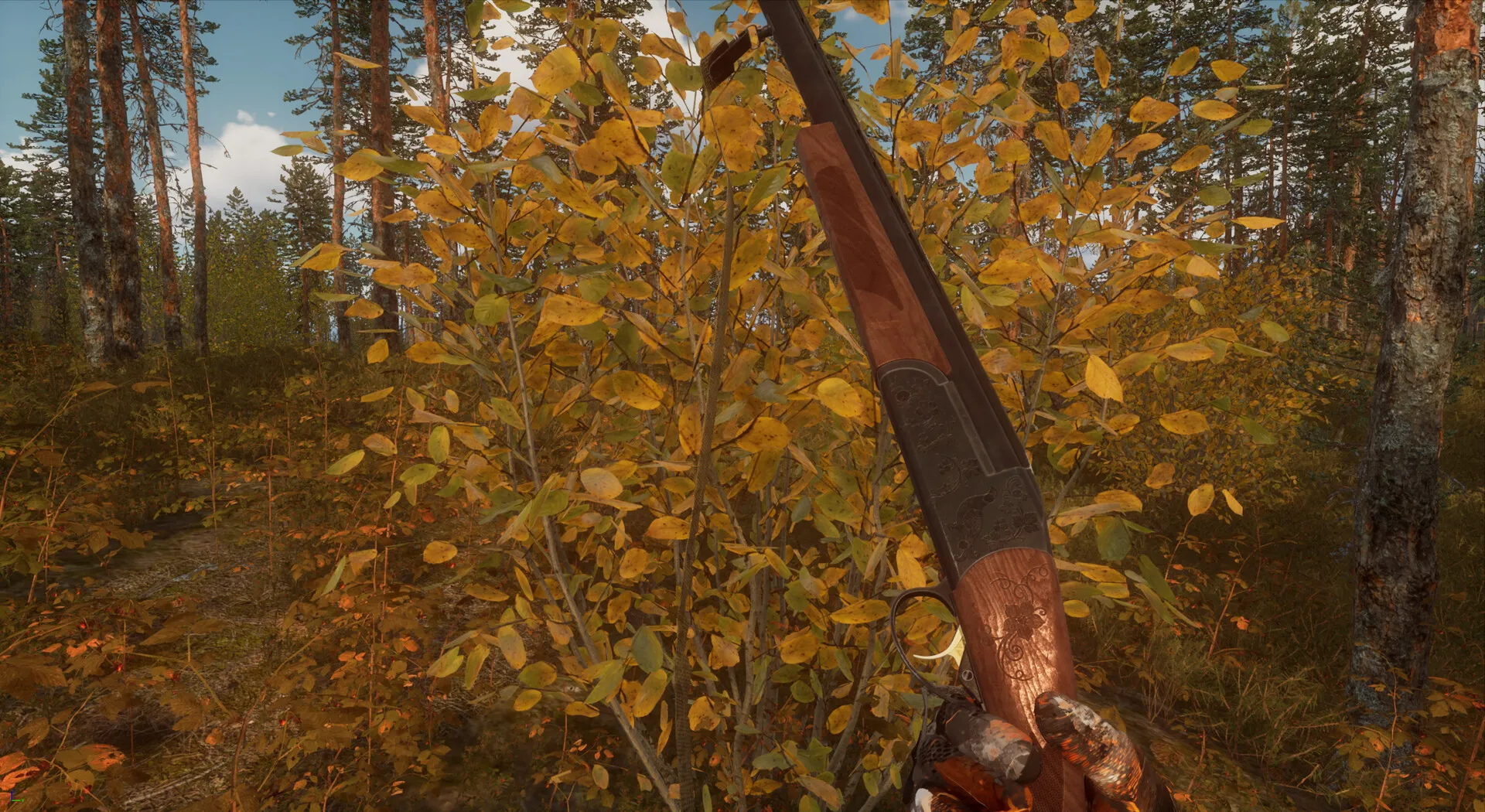 BULT：狩猎模拟器/BULT: Hunting simulator