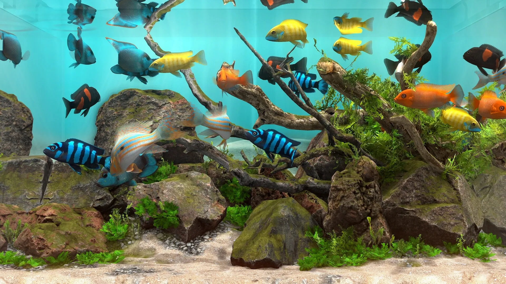 玻璃背后：水族馆模拟器/Behind Glass: Aquarium Simulator-JOY Hub - Games, Codes & Photography